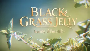 Black Grass Jelly - Bounty of The Hills | Local Towards Global