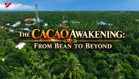 The Cacao Awakening: From bean to beyond | Flavours and Beyond