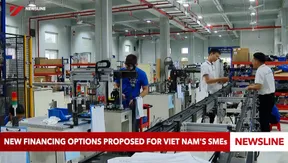 New financing options proposed for Viet Nam's SMEs