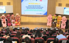 Phát triển y học gia đình và chăm sóc sức khỏe ban đầu