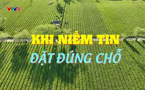 Điểm tựa bình yên: Khi niềm tin đặt đúng chỗ (26/11/2025)