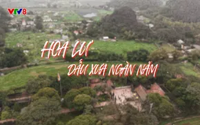 Quyến rũ Việt Nam: Hoa Lư dấu xưa ngàn năm (28/11/2025)