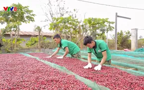 Phóng sự: Mở đường cho nông sản Việt vào CPTPP (29/11/2025)