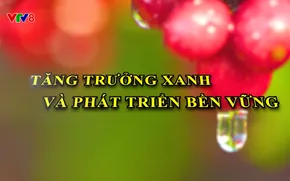 Phóng sự: Tăng trưởng xanh và phát triển bền vững (30/11/2025)