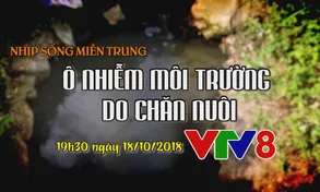 Nhịp sống miền Trung 