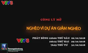 Chương trình Công lý mở 