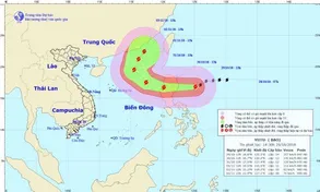 Bão Yutu cách đảo Luzon khoảng 320km về phía Đông