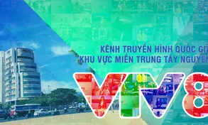 VTV8 tuyển cộng tác viên dẫn chương trình