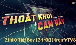 Thoát khỏi cạm bẫy: 