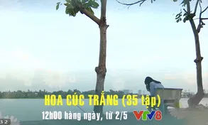 Phim truyện Việt Nam 