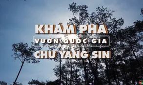 Bước chân khám phá: Khám phá vườn quốc gia Chư Yang Sin (20h55 thứ Sáu, 18/5 trên VTV8)