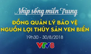 Nhịp sống miền Trung 