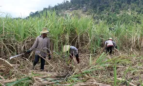 Liên tiếp nhiều vụ 