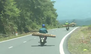 Ngăn chặn đường dây gỗ lậu cuối năm
