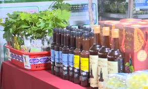 Chọn sản phẩm chế biến từ nho