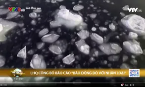 LHQ công bố báo cáo 