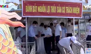 Thả cá tái tạo nguồn lợi thuỷ sản trên sông Hương