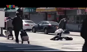 Bộ phim tài liệu 