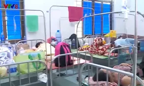 Bộ Y tế: Hơn 270 ngàn người mắc sốt xuất huyết