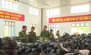 Đắk Lắk: Thu hồi thêm 1.399 khẩu súng các loại
