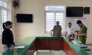 Bắt nguyên cán bộ làm giả hồ sơ hợp thức hóa đất đai