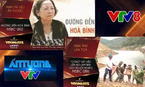 VTV8 có 2 tác phẩm được đề cử cho giải thưởng 