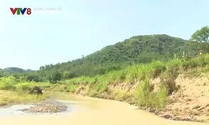 Sông Cô thay đổi dòng chảy ảnh hưởng Quốc lộ 19C