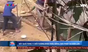 Bắt quả tang 11 đối tượng khai thác vàng trái phép tại Đắk Lắk