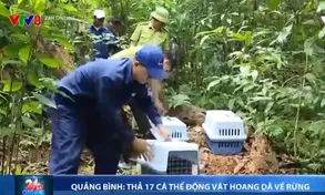 Quảng Bình thả 17 cá thể động vật hoang dã về rừng