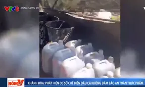 Khánh Hòa phát hiện cơ sở chế biến dầu cá không đảm bảo an toàn thực phẩm