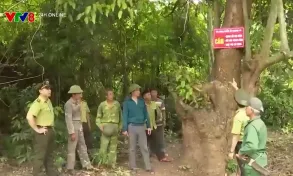 Thanh Hóa: Phòng chống cháy rừng mùa nắng nóng