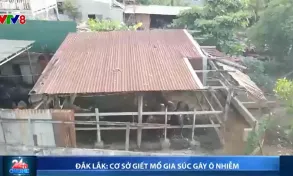 Đắk Lắk: Cơ sở giết mổ gây ô nhiễm