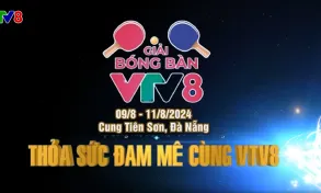 Giải bóng bàn tranh Cup VTV8 đã trở lại