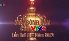 Sức hút của Giải Bóng bàn truyền thống tranh cúp VTV8