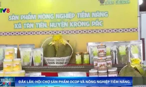 Hội chợ giới thiệu sản phẩm OCOP và nông nghiệp tiềm năng ở Đắk Lắk