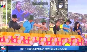 Hội thi nông dân sản xuất sầu riêng giỏi