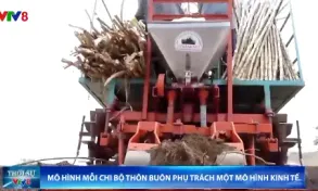 Mỗi Chi bộ thôn buôn phụ trách một mô hình kinh tế