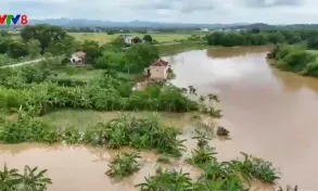 Lũ trên sông Bưởi dâng cao gây ngập 85 nhà dân