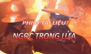 Phim tài liệu 