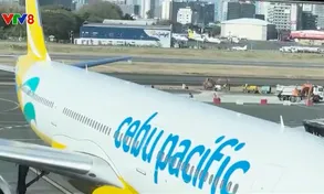 Hãng hàng không Cebu Pacific Air khai thác hiệu quả đường bay Manila - Đà Nẵng