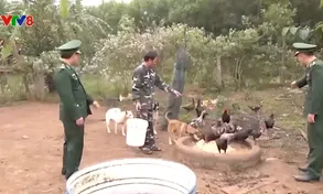 Bộ đội Biên phòng Quảng Bình giúp người dân biên cương phát triển kinh tế