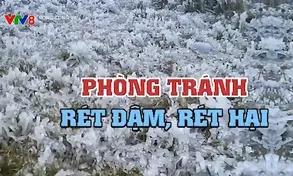 Không chủ quan trước thời tiết rét đậm