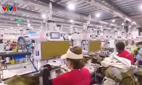 Quảng Ngãi phát triển công nghiệp xanh