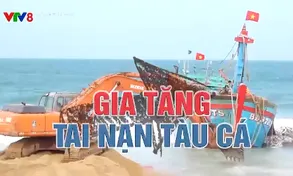 Gia tăng tai nạn tàu cá