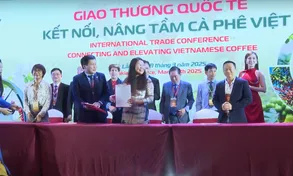 Cơ hội mở rộng thị trường cà phê Việt Nam