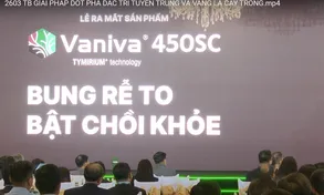 Giải pháp đột phá đặc trị tuyến trùng và vàng lá ở cây trồng