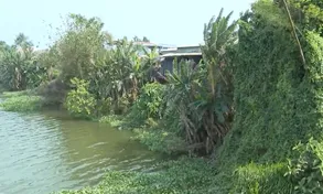Nguy cơ sạt lở sông bà Rén ở Quảng Nam