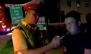 Bình Định tăng cường xử lý xe khách vi phạm vào ban đêm
