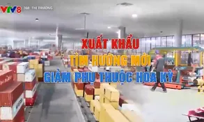Xuất khẩu Đà Nẵng tìm hướng mới, giảm phụ