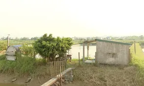 Dự án mở rộng cầu trên Quốc lộ 1A vướng giải phóng mặt bằng